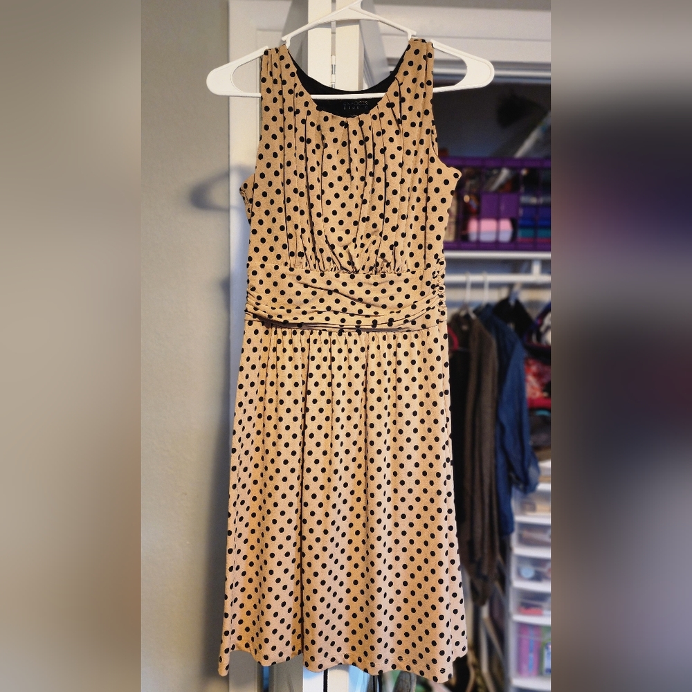 Enfocus Studio size 6 dress